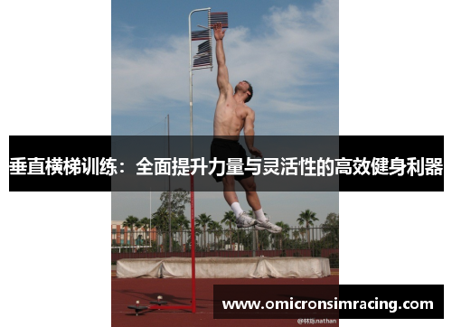 垂直横梯训练：全面提升力量与灵活性的高效健身利器