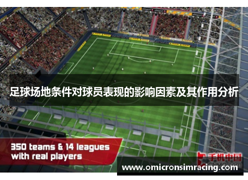 足球场地条件对球员表现的影响因素及其作用分析